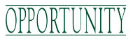 Banco Opportunity - Fundo de Investimento Imobiliario (FII) - Opportunity Company Logo